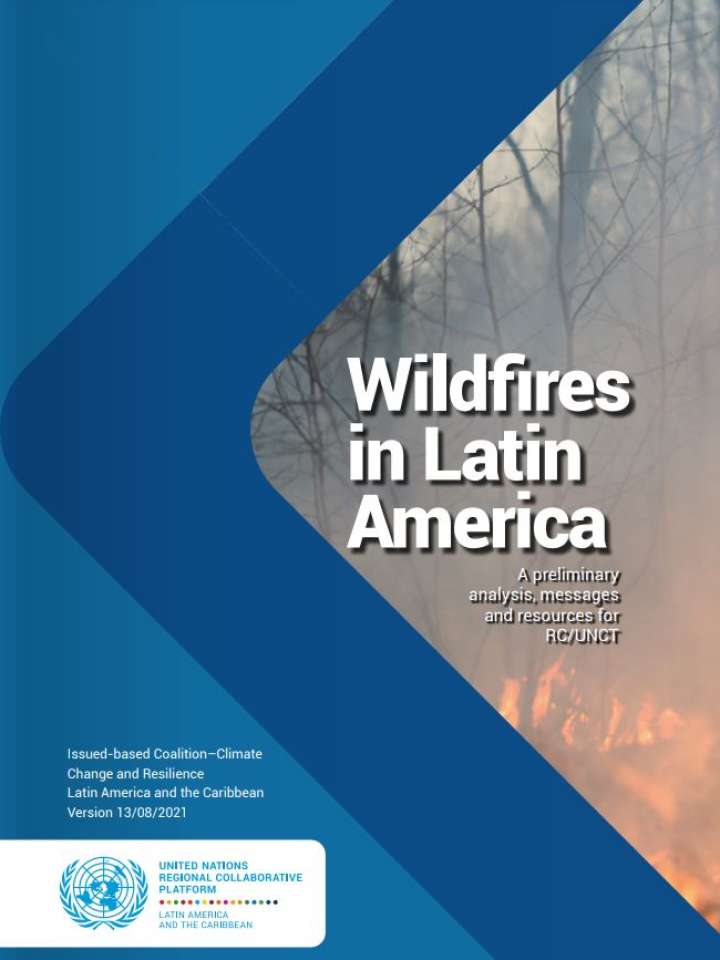 Wildfires in Latin America