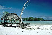  Photo of Samoa by Flikr user YXO, Creative Commons Attribution-No Derivative Works 2.0 Generic