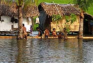  Photo by Flikr user Sir Mervs, Creative Commons Attribution 2.0 Generic