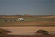  Photo of the Gobi Desert, Mongolia, by Flikr user PnP, Creative Commons Attribution-Noncommercial-No Derivative Works 2.0 Generic