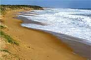   Photo of Kilcunda ocean beach, South Gippsland, Victoria, Australia by Flickr user Fotograf1v2 Creative Commons Attribution-Noncommercial-No Derivative Works 2.0 Generic