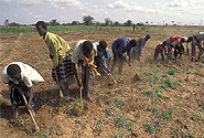  Photo by Flickr user, the World Bank, Creative Commons Attribution-NonCommercial-NoDerivs 2.0 Generic
