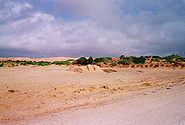 by Flickr user ctsnow, Creative Commons BY 2.0, http://www.flickr.com/photos/ctsnow/525747067/