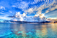 by Flickr user nicadlr / Nic Adler, Creative Commons BY-NC-SA 2.0, http://www.flickr.com/photos/whoshotya/4637779981/