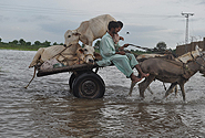 by Flickr user Oxfam International, Creative Commons BY-NC-ND 2.0, http://www.flickr.com/photos/oxfam/6149853068/