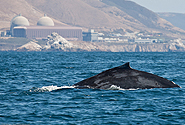 by Flickr user mikebaird / Mike Baird, Creative Commons BY 2.0, http://www.flickr.com/photos/mikebaird/4839186677/