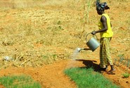  by Flickr user CGIAR Climate / Climate Change, Agriculture and Food Security Creative Commons BY-NC-SA 2.0, http://www.flickr.com/photos/cgiarclimate/5217270715/