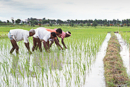 by Flickr user Gates Foundation, Creative Commons BY-NC-ND 2.0, http://www.flickr.com/photos/gatesfoundation/5572569824/