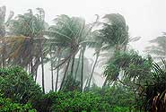  photo by Flikr user Ali Nishan, creative commons attribution noncommercial generic 2.0