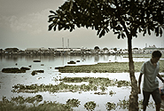 by Flickr user tbSMITH, Creative Commons BY-NC-ND 2.0, http://www.flickr.com/photos/tbsmith/4682085341/