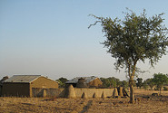  Photo by The AgriCultures Network, F.van Schoubroeck CC BY-NC-SA 2.0 http://www.flickr.com/photos/leisaworldnet/3512849615