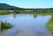  Photo by U. S. Fish and Wildlife Service - Northeast Region's CC BY 2.0 http://www.flickr.com/photos/usfwsnortheast/6105996711
