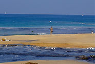 by Flickr user Taekwonweirdo / Alan Chan, Creative Commons BY-NC-SA 2.0, http://www.flickr.com/photos/alanchan/497549559/