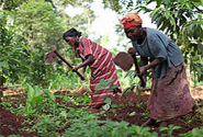  Photo by Bread for the World CC BY-NC 2.0 http://www.flickr.com/photos/breadfortheworld/6521597667