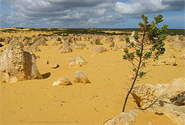  Photo by Frabuleuse CC BY-NC-SA 2.0 2.0 http://www.flickr.com/photos/fpalazzi/33416145
