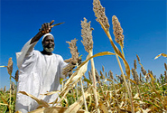  Photo by  © Africa Renewal CC BY-NC-SA 2.0 http://www.flickr.com/photos/africa-renewal/5758970864