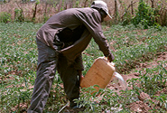  Photo by  © Bread for the World  CC BY-NC 2.0 http://www.flickr.com/photos/breadfortheworld/3963243135