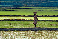  Photo by  © Africa Renewal CC BY-NC-SA 2.0http://www.flickr.com/photos/africa-renewal/5912149891