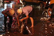  CC BY 2.0 ernop http://www.flickr.com/photos/kouchi/1094944426