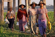  Photo by  Bob in Thailand  CC BY 2.0 http://www.flickr.com/photos/bob_in_thailand/6941141997