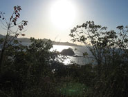  by flickr user D.J. Milky, creative commons attribution-noncommercial-share alike 2.0 generic
