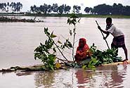  Photo copyright Shamsuddin Ahmed/ IRIN