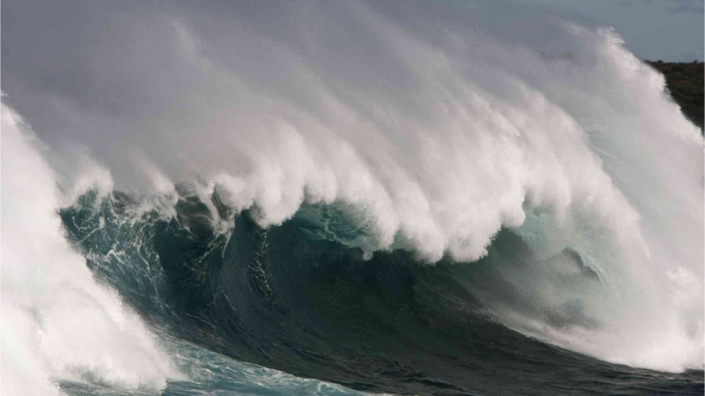 A large wave crests off the coast of Sydney, Australia