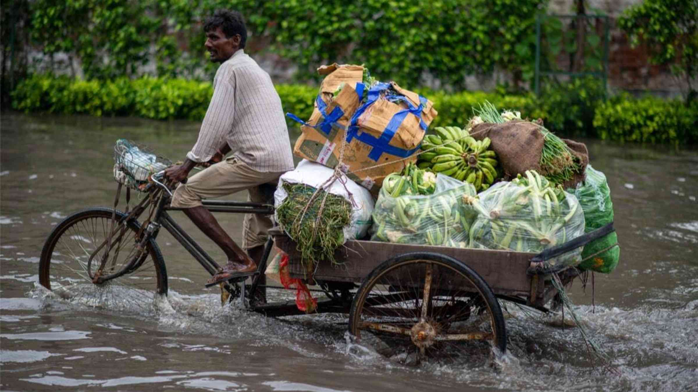 Indian farmer transporting harvest goods on a bike in a flooded street