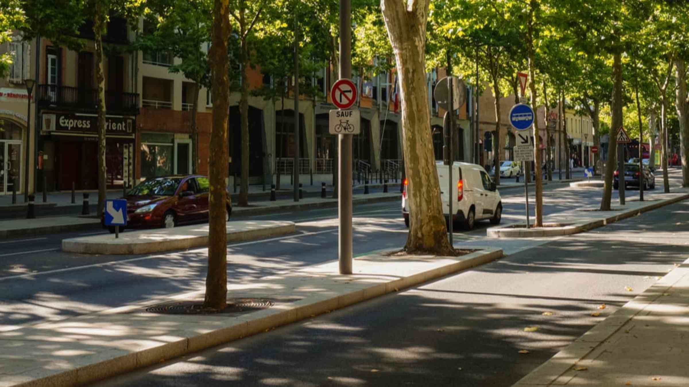Shade produced by trees in a city street in southern France