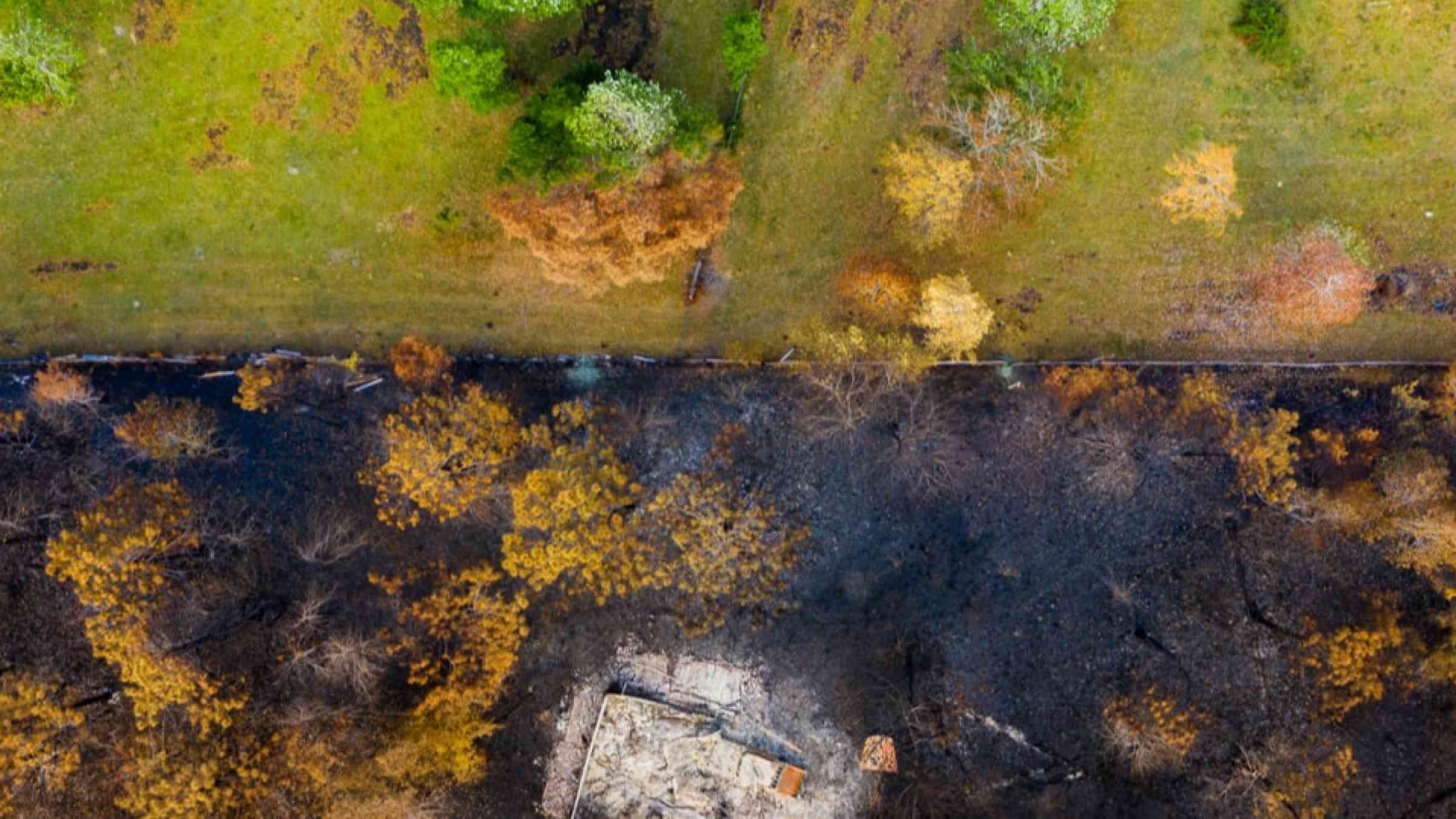 Aerial view of a burned area