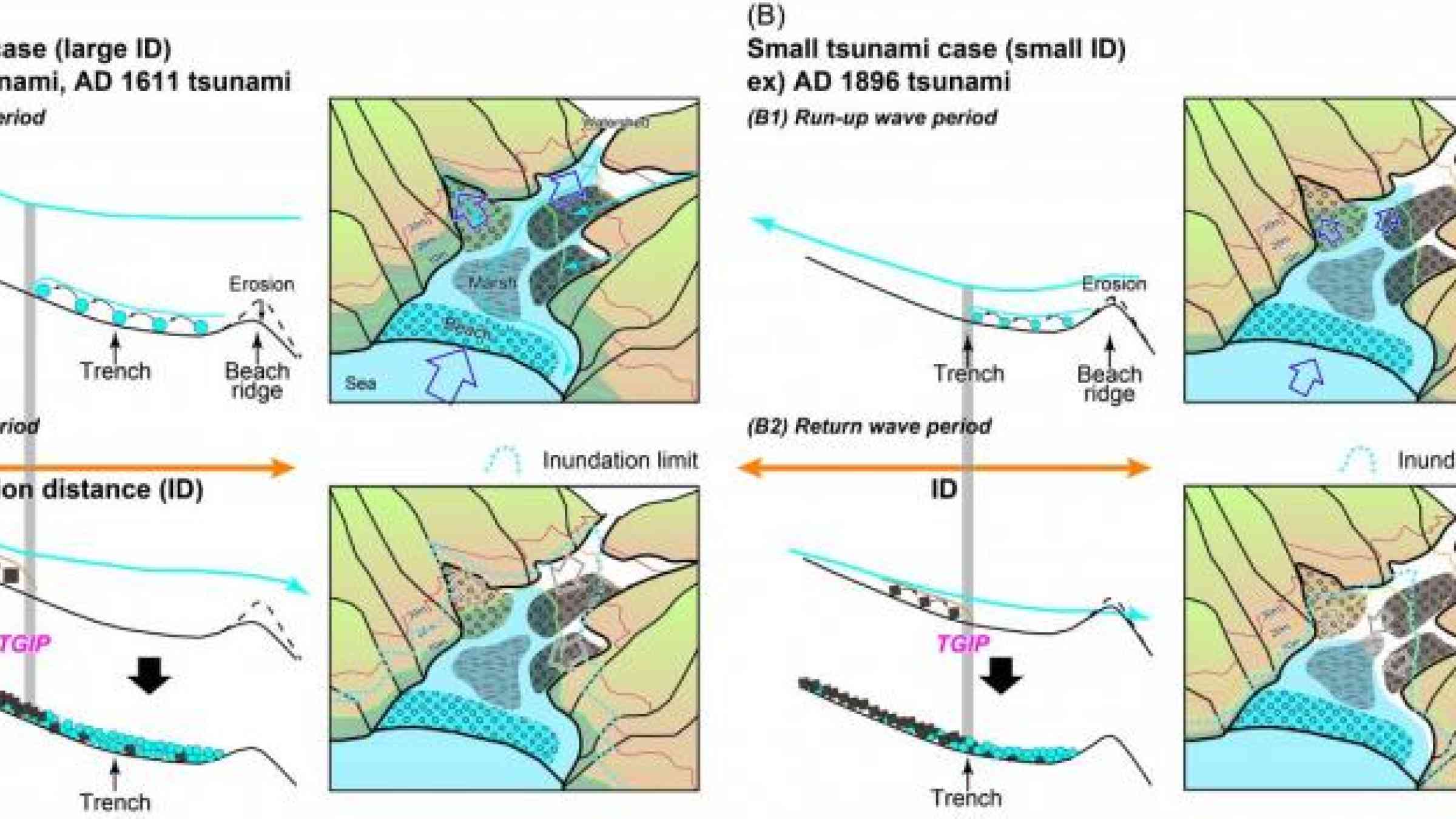 Transport of beach gravel and fluvial gravel by tsunamis in Koyadori, with different inundation distances (ID) and tsunami gravel inflection points (TGIP). Source: Tokyo Metropolitan University.