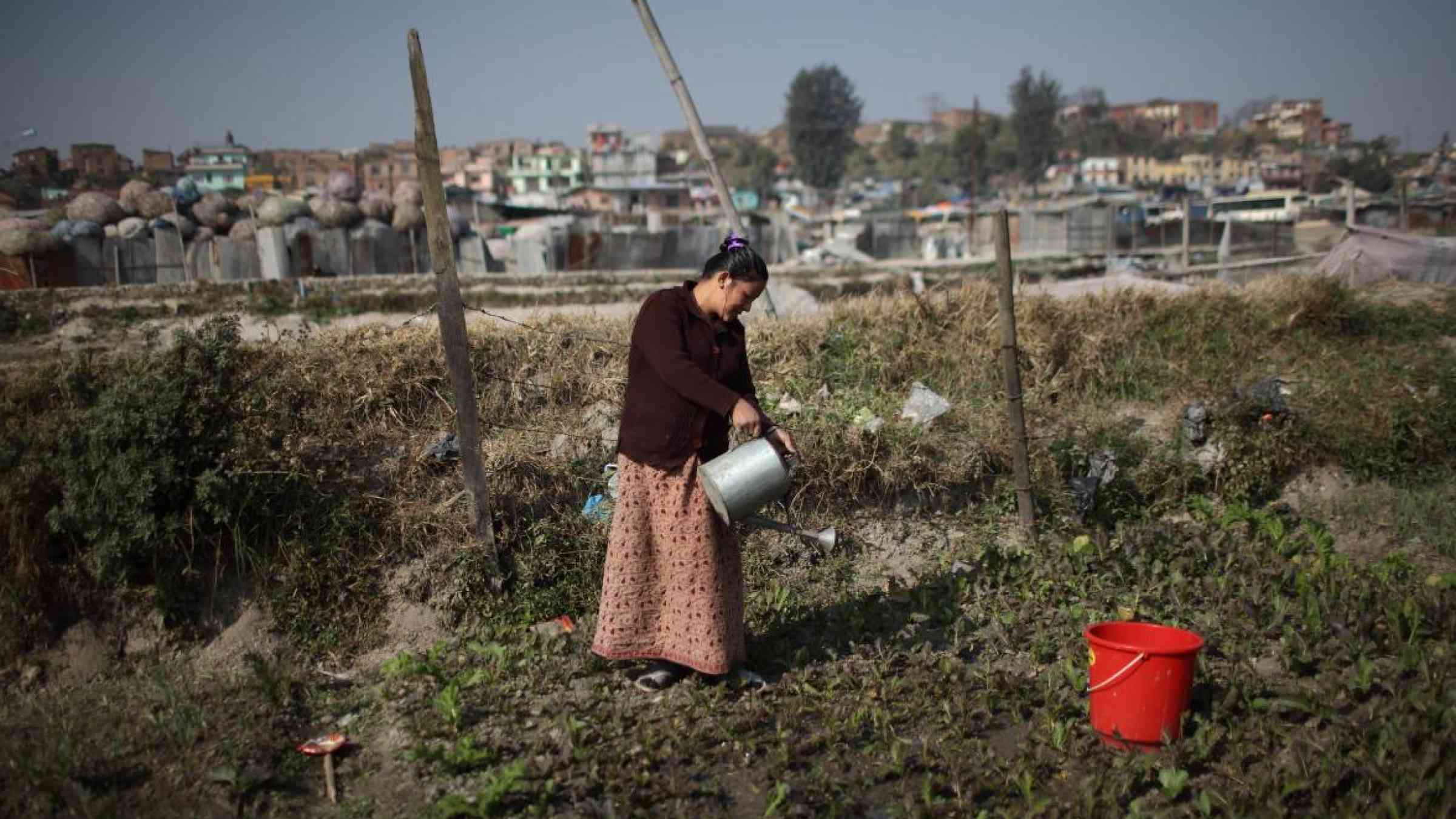 Woman watering plants. Nepal. Tom Van Cakenberghe/ IWMI http://bit.ly/3cyLQjU