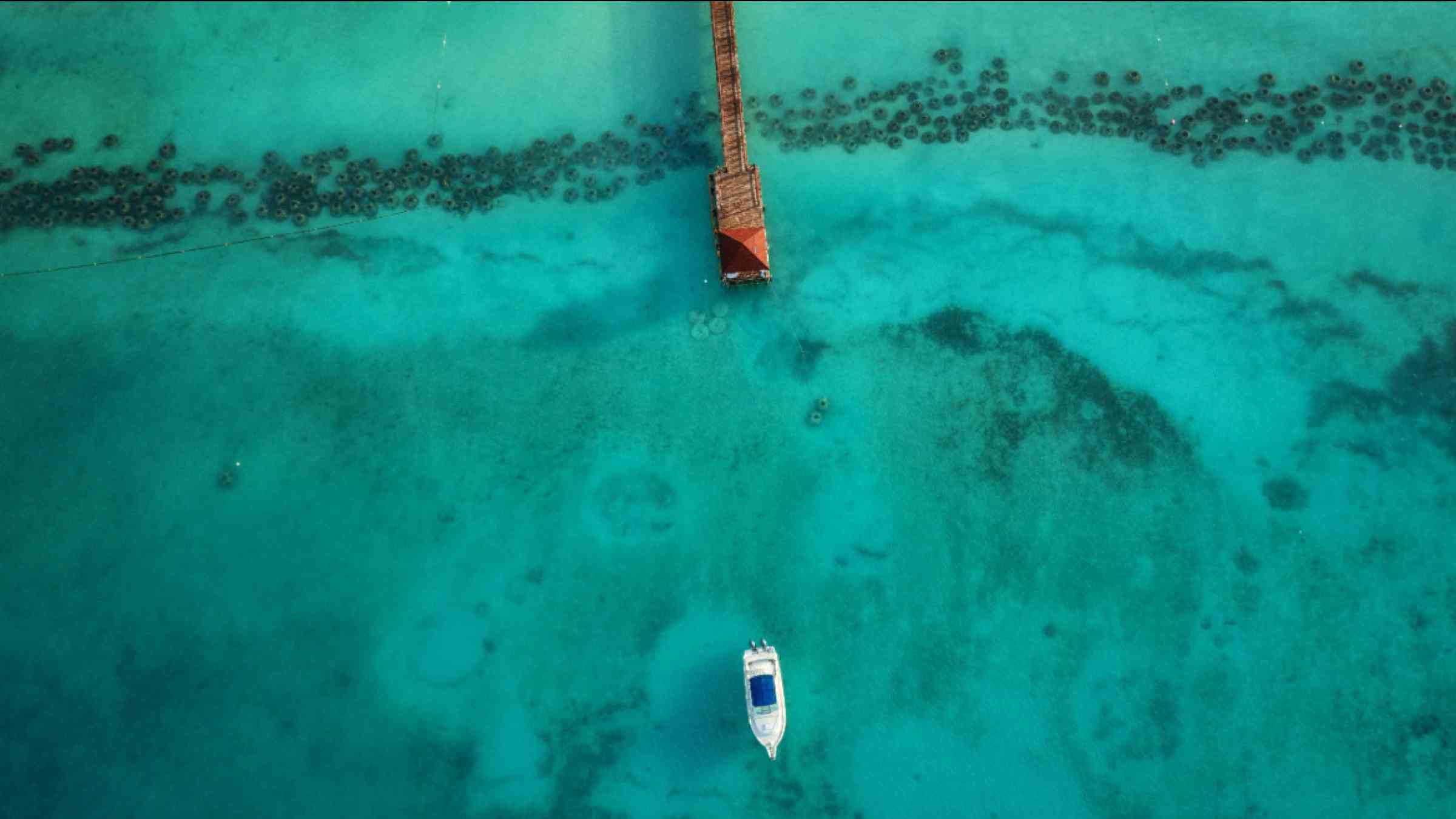 Aerial view of an azure sea with coral reef in the Caribbean