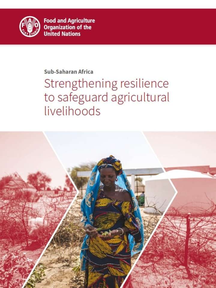 FAO Sub-Saharan Africa - Strengthening resilience