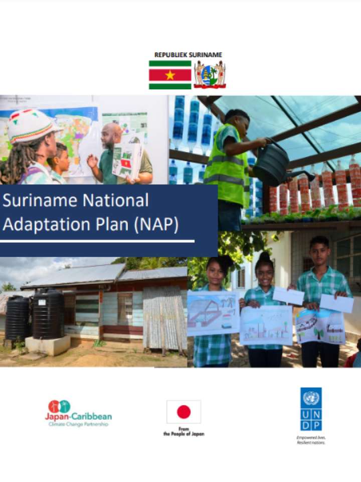 Cover and source: Government of Suriname