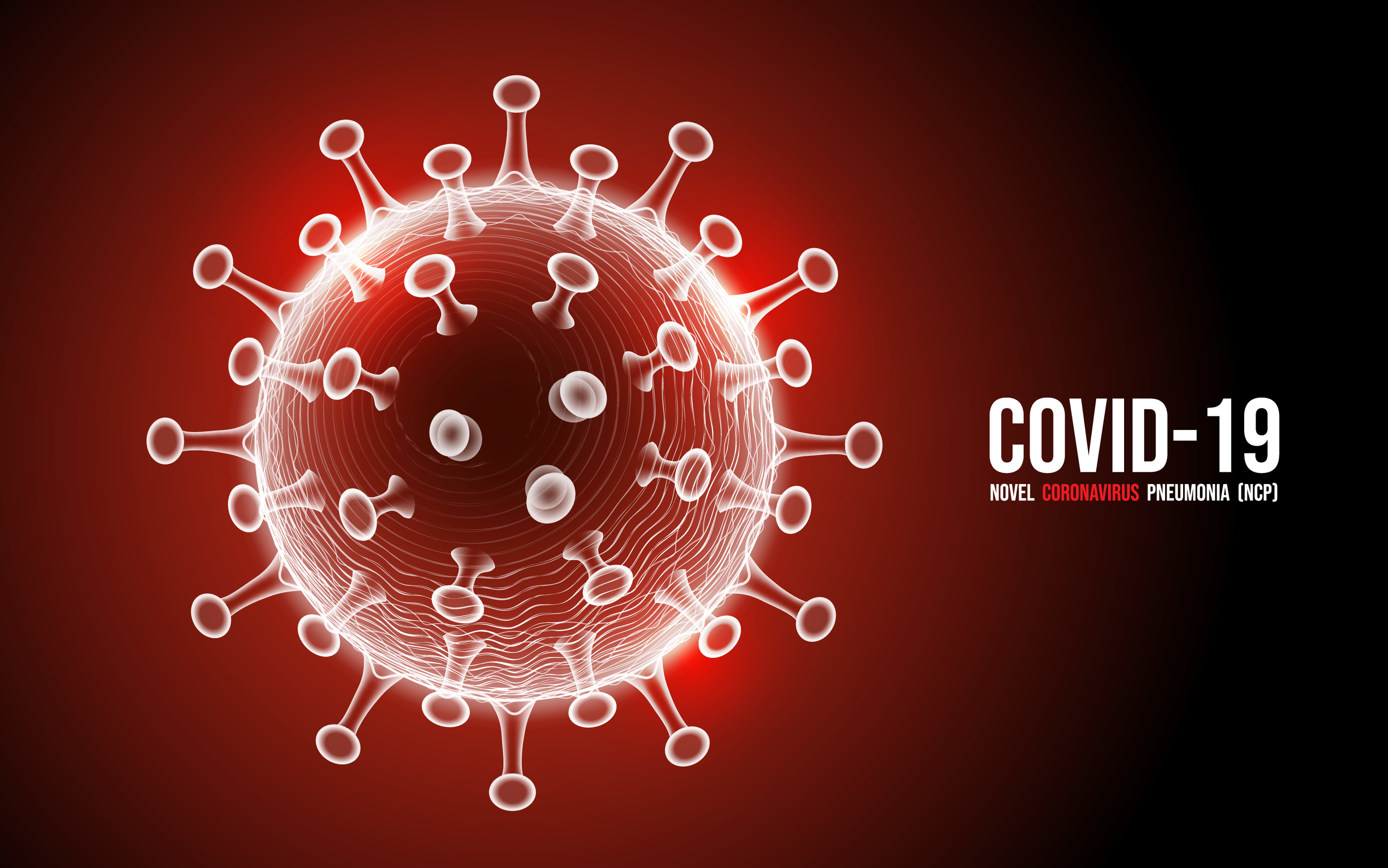 COVID-19 Pandemic | PreventionWeb.net