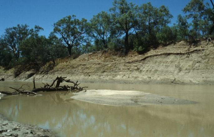 australia  the darling river is simply not supposed to dry out  even in drought
