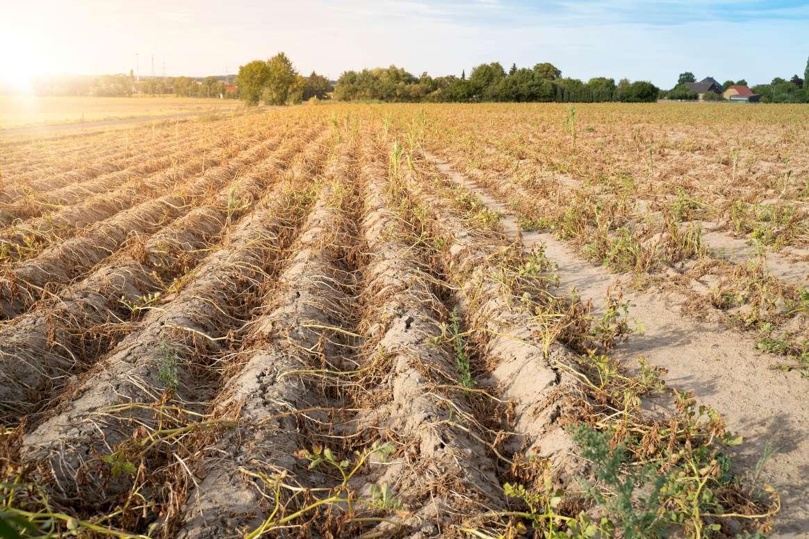 Frequency of extreme droughts across Europe predicted to rise - PreventionWeb