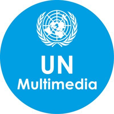 UN multimedia logo