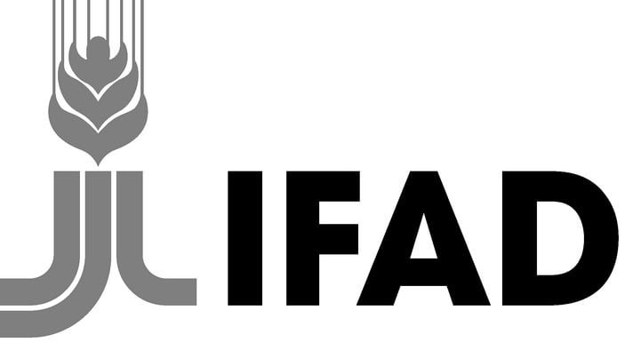 IFAD Logo