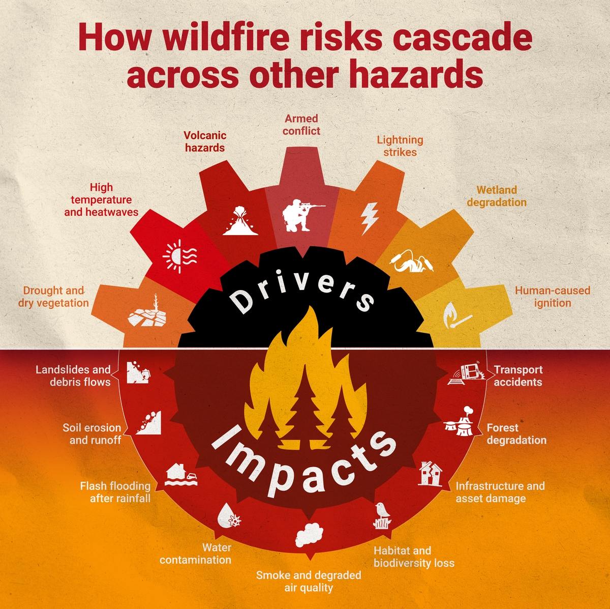 How wildfire risks cascade