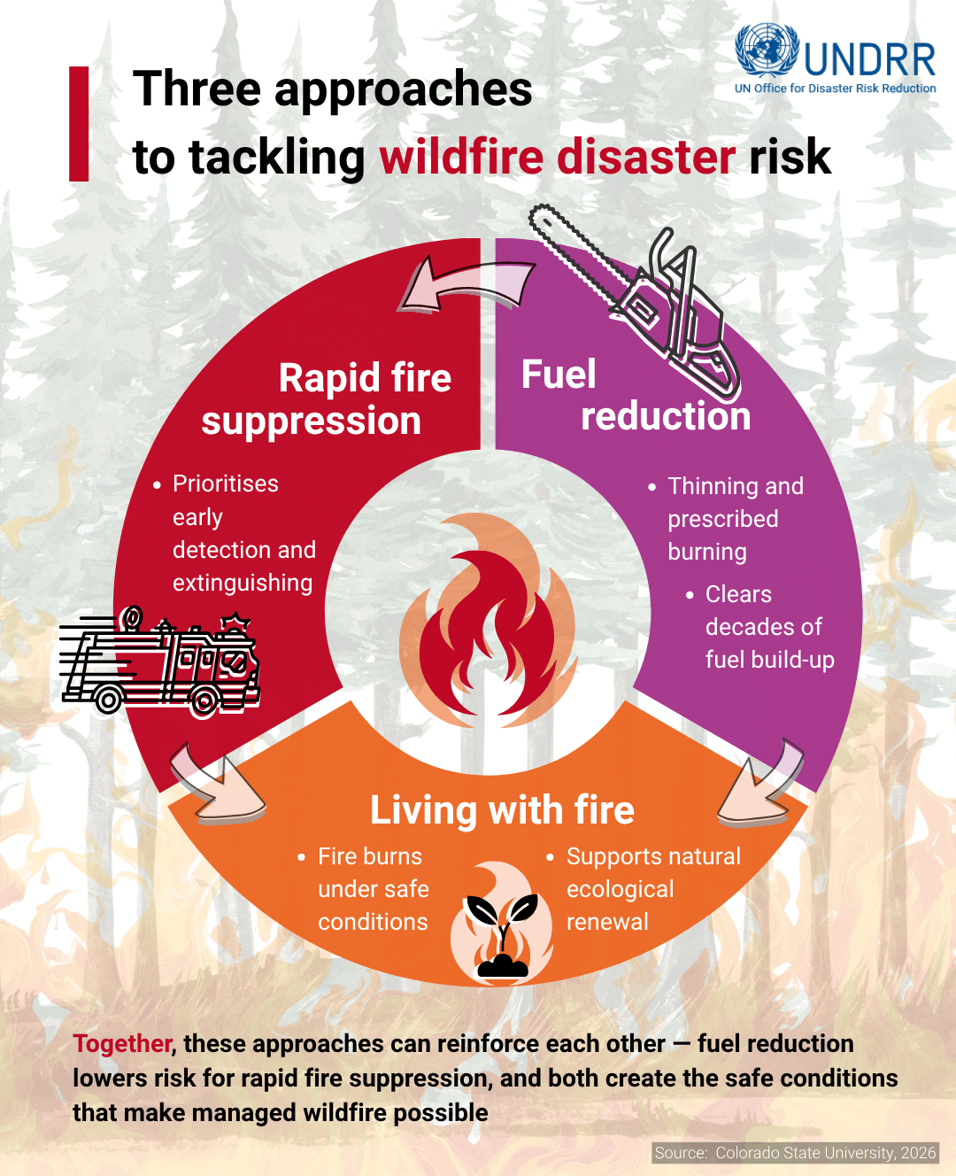 Three approaches to tackling wildfire disaster risk - infographic
