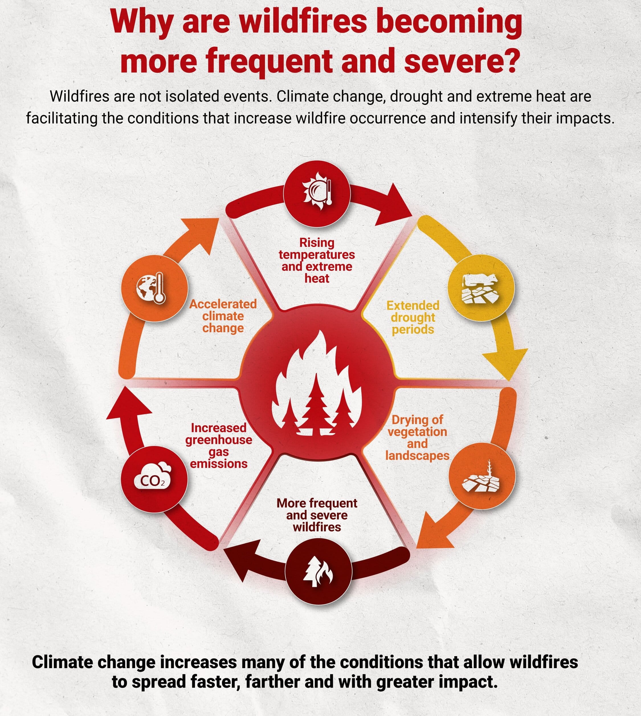 Why are wildfires becoming more frequent - infographic