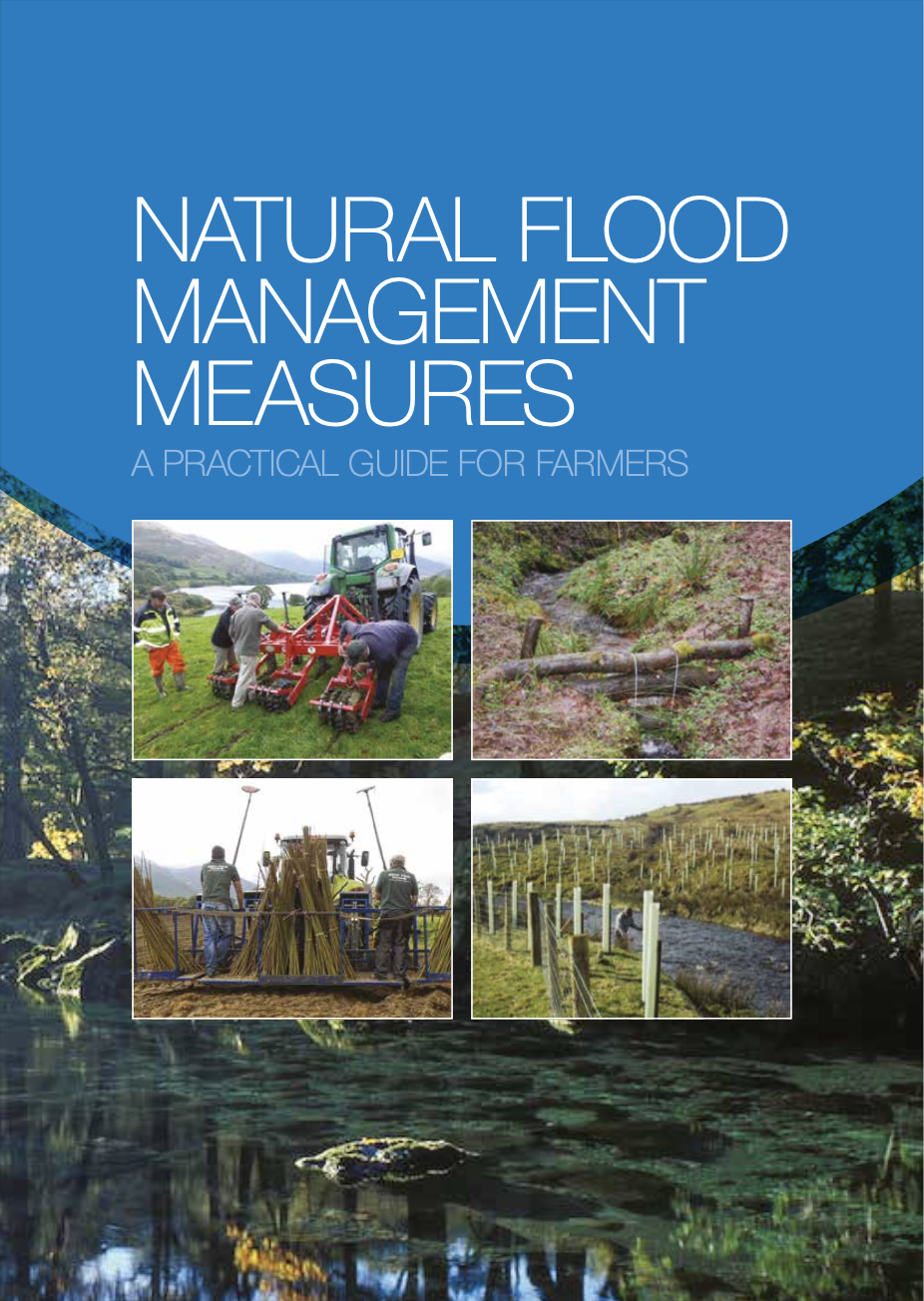 thesis on flood management