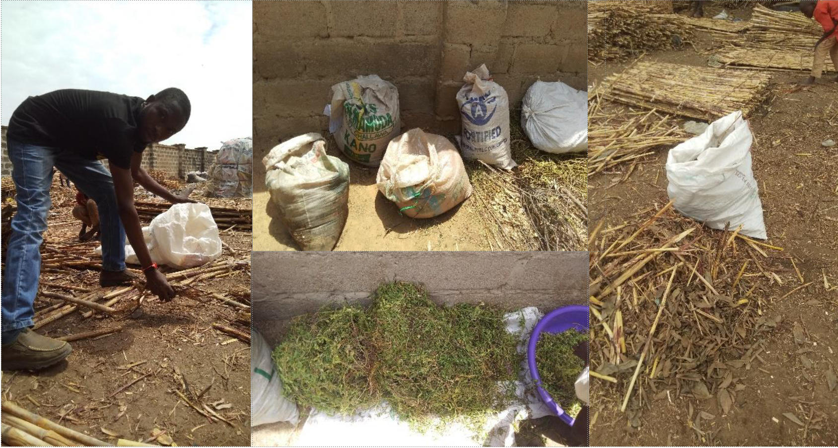 a compilation of photos with farmer and compost