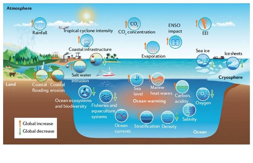Figure 1 - Ocean warming & earth system cycles