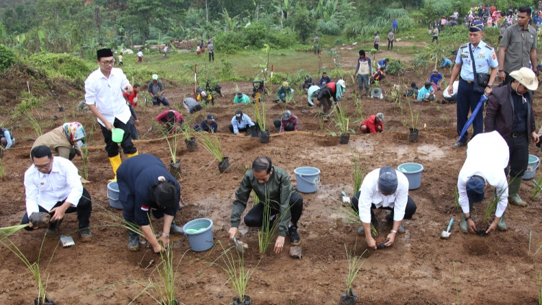 Disaster prevention and mitigation through vegetation in Indonesia.