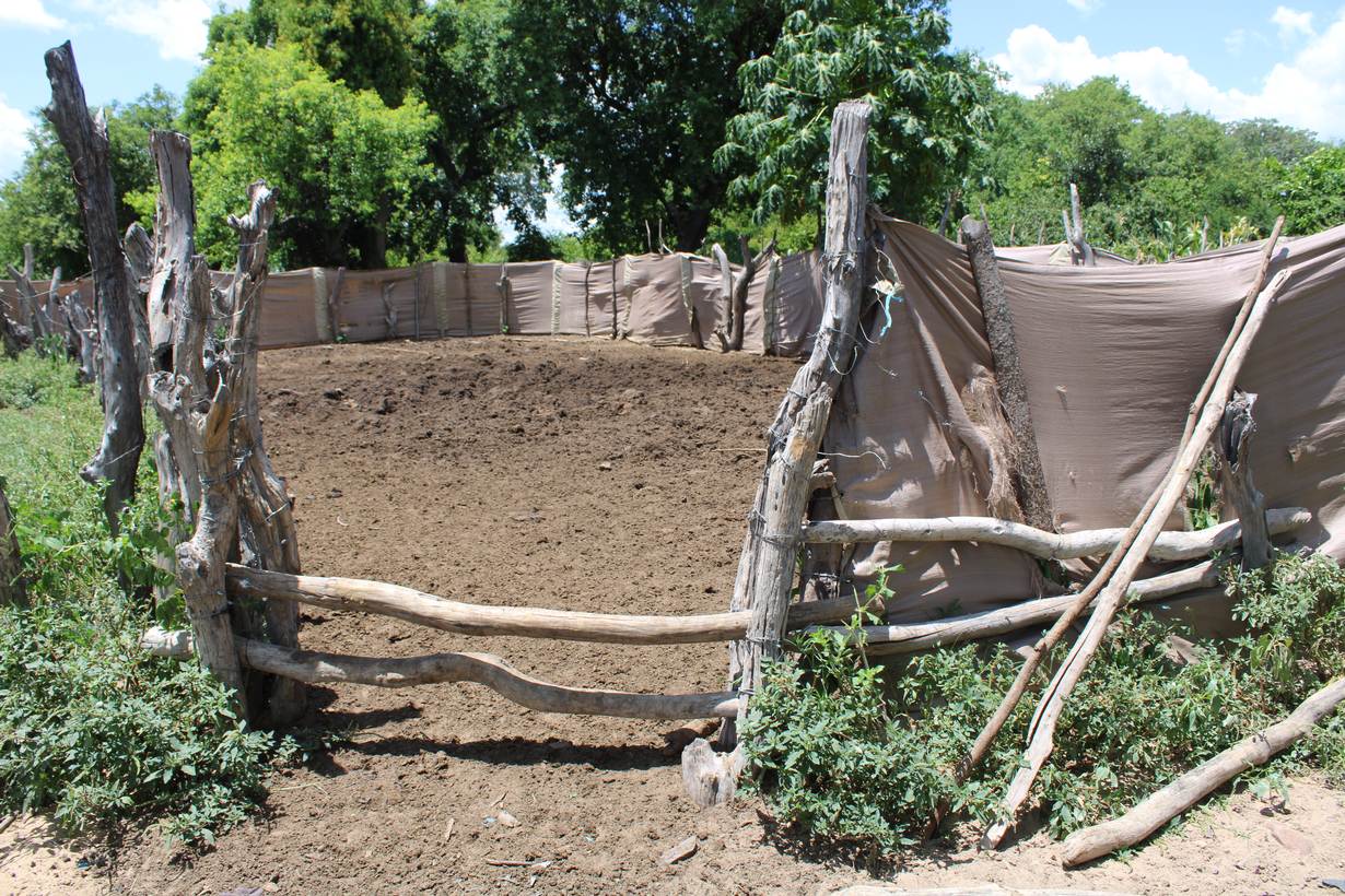 Some Tonga communities have developed temporary mobile bomas - or enclosures - to protect their livestock from predators under a pilot community conservancy programme to manage wildlife, Binga, Zimbabwe, February 24, 2022. Thomson Reuters Foundation/Busani Bafana
