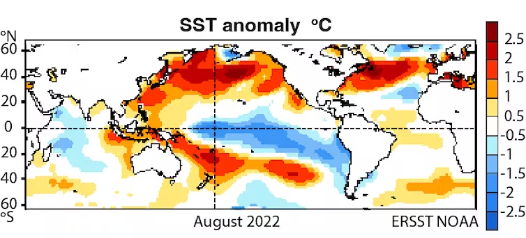 A global map showing sea surface temperature anomalies
