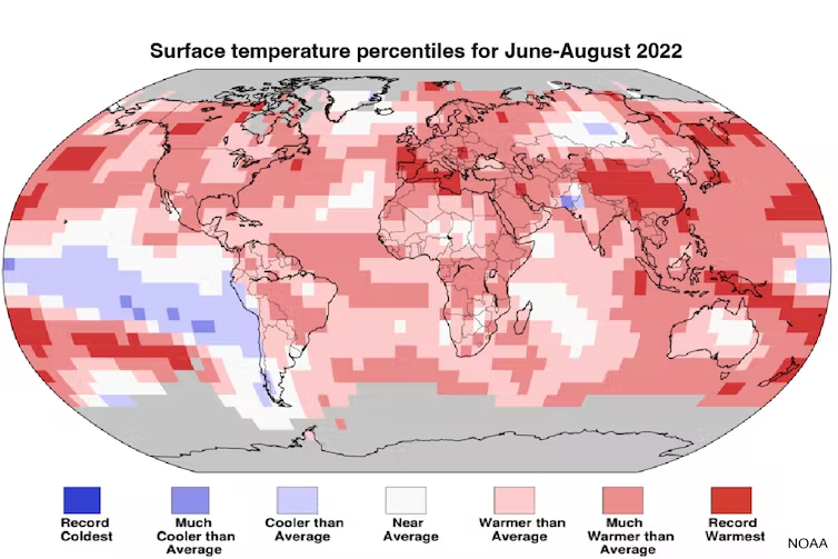A map of global surface temperatures from June to August 2022